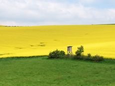 immobilienbewertung bannewitz landwirtschaft