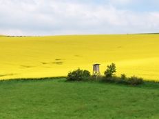 immobilienbewertung rabenau landwirtschaft